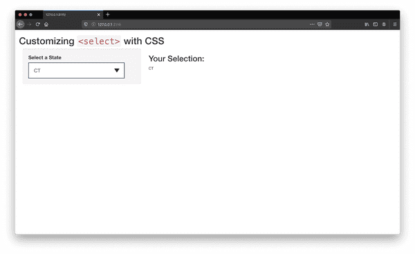 select input shiny application